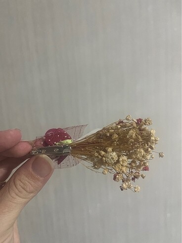 Diğer Damat yaka çiçeği