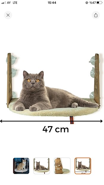 Kedi yatağı