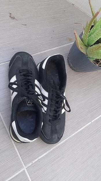 38 Beden Adidas ayakkabı