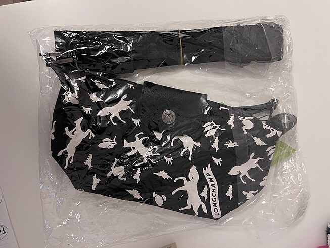 Longchamp Longchamp canta
