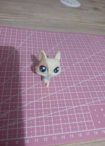 Lps Eski Miniş