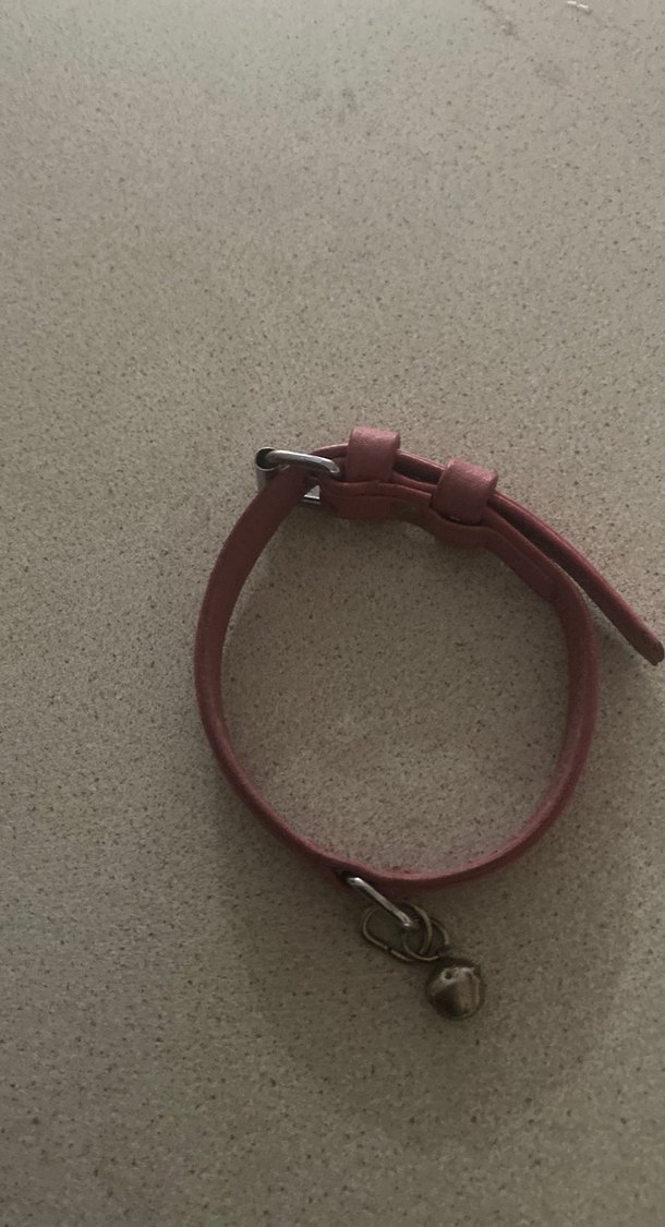 Pembe deri Kedi Tasması - Görsel 3