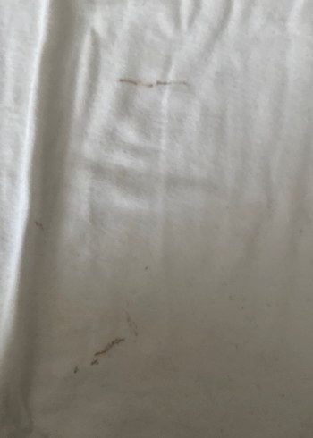 Beyaz Uzun Kollu Balıkçı Yaka Hamile Tişörtü - Görsel 3