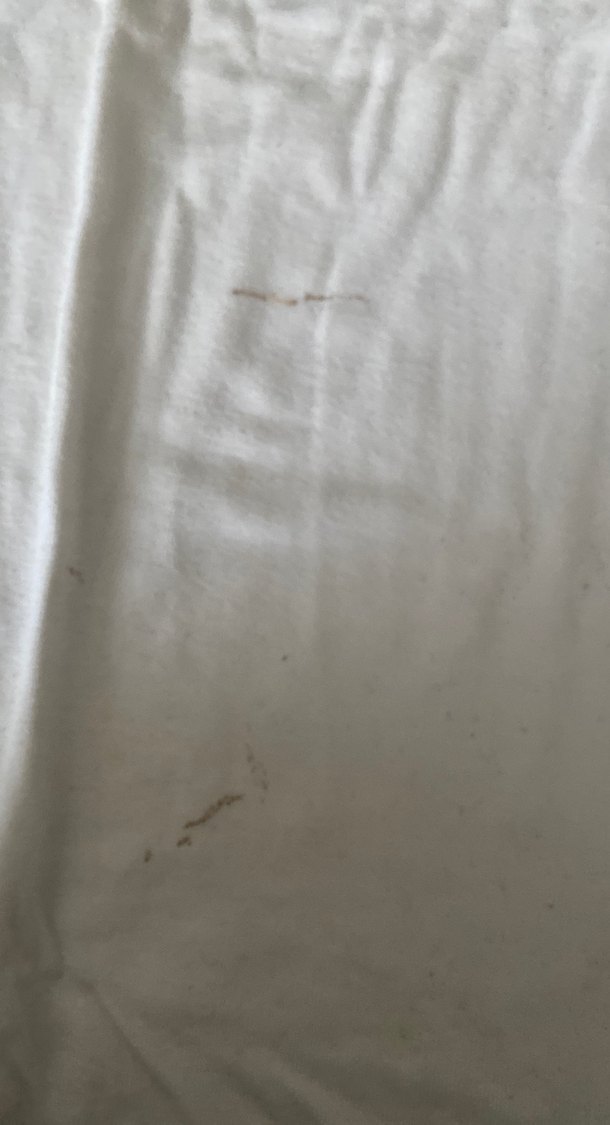 Beyaz Uzun Kollu Balıkçı Yaka Hamile Tişörtü - Görsel 3