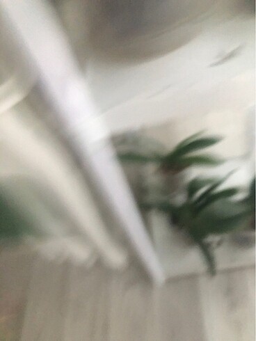  Beden beyaz Renk Orkide gren envy
