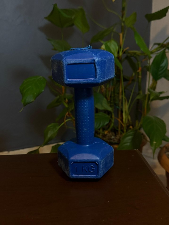 1 KG Koyu Mavi Dambıl - Görsel 2