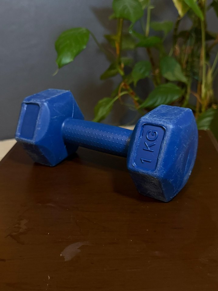 1 KG Koyu Mavi Dambıl - Görsel 3