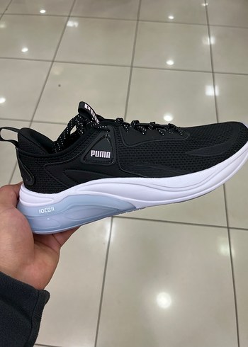 Puma 43