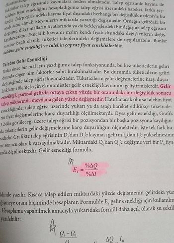 Tek Dönem İçin İktisada Giriş Kitabı - Görsel 2