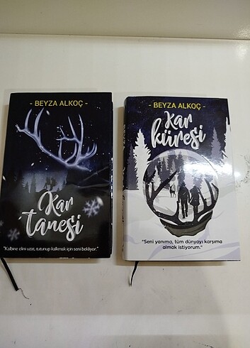 Kar tanesi kar küresi seti ciltli - Görsel 2