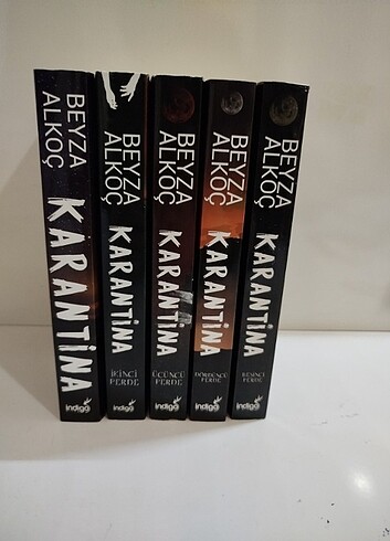 Karantina seriisi - Görsel 3