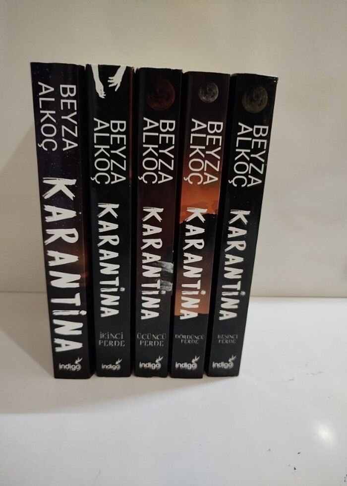 Karantina seriisi - Görsel 3