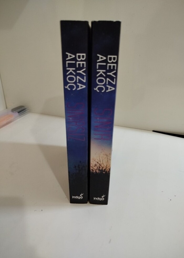 Sınr sınırsız serisi beyza alkoc  - Görsel 3