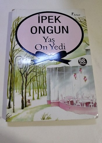 İpek Ongun - Yaş On Yedi Romanı - Görsel 3
