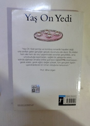 İpek Ongun - Yaş On Yedi Romanı - Görsel 2