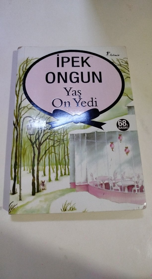 İpek Ongun - Yaş On Yedi Romanı - Görsel 3
