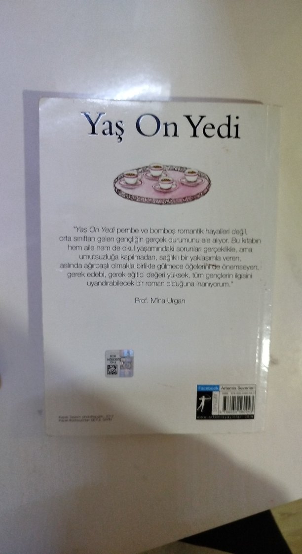 İpek Ongun - Yaş On Yedi Romanı - Görsel 2