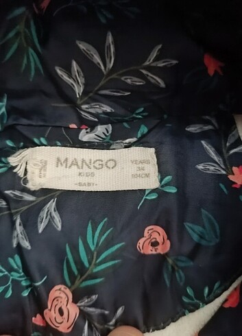 Mango Mango