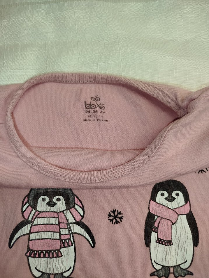 Kız Çocuk Pembe Uzun Kollu Baskılı Tişört - Görsel 2