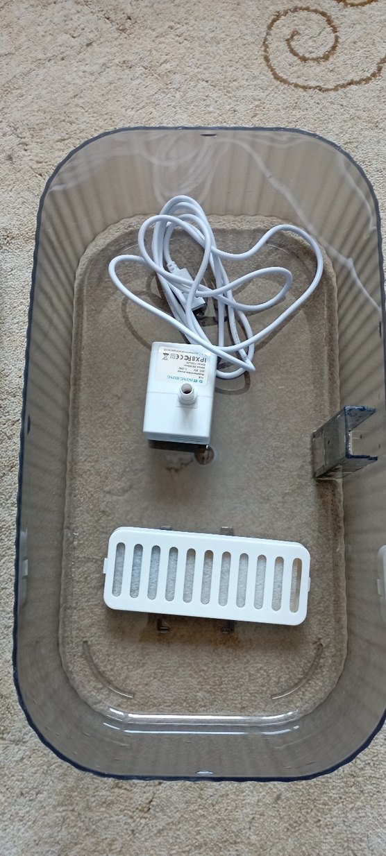 Pastel Mavi Kedi Mama ve Su Kabı kiwi marka - Görsel 3