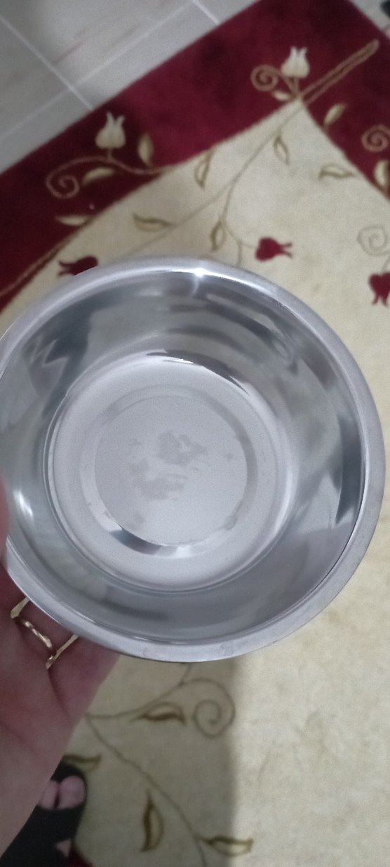 Pastel Mavi Kedi Mama ve Su Kabı kiwi marka - Görsel 4