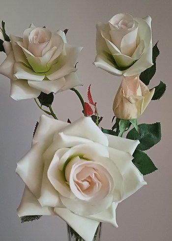 Uzun Beyaz Cam Vazo - Görsel 7