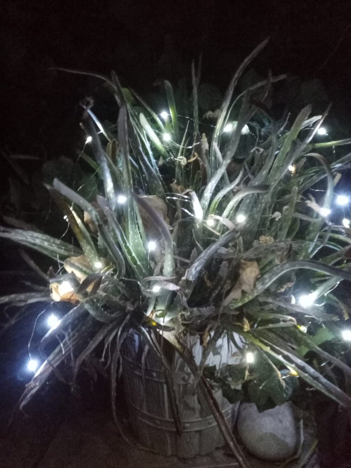 Beyaz Işık LED Dekoratif Işık Zinciri - Görsel 5