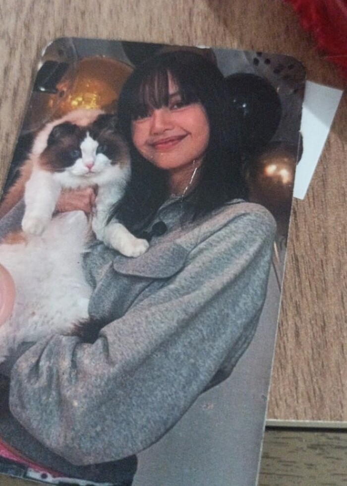 3 Lisa pc - Görsel 2