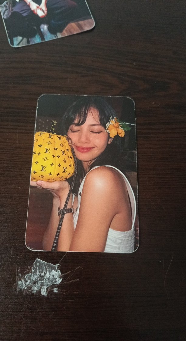 Lisa lomo - Görsel 3