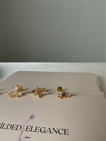 Çelik Pembe Kuzey Yıldızı Tragus Piercing