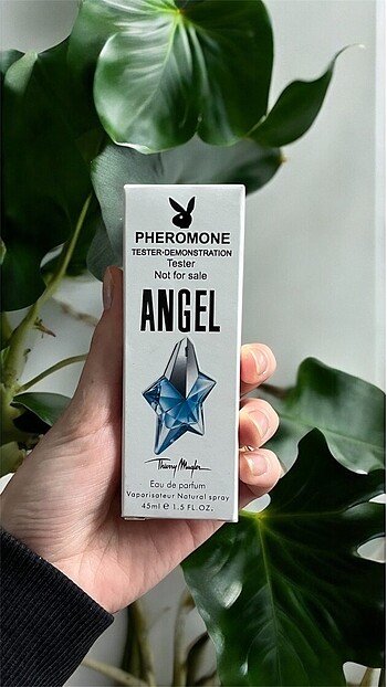 Angel çanta boy parfüm