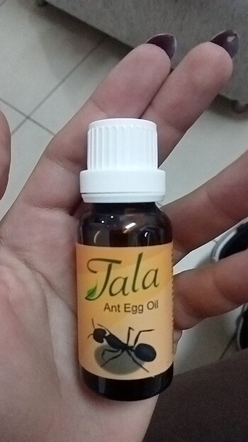 Karınca yumurtası yağı