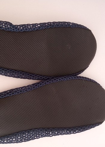 Deniz patiği - Görsel 3