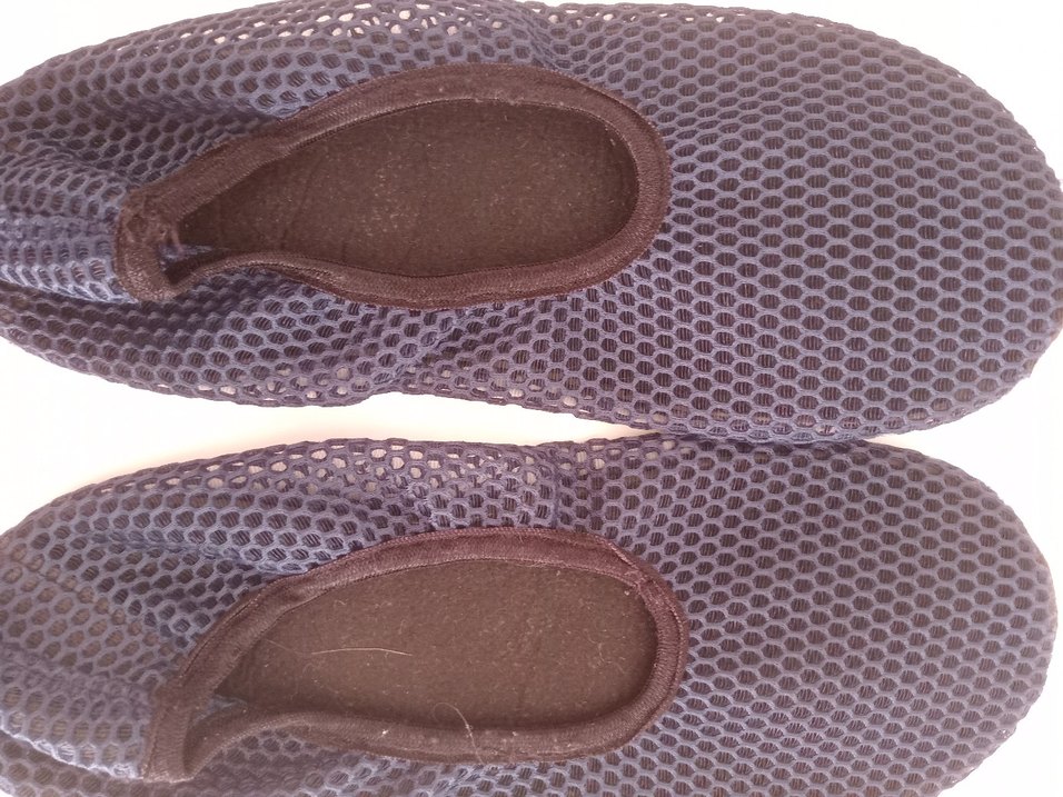 Deniz patiği - Görsel 2