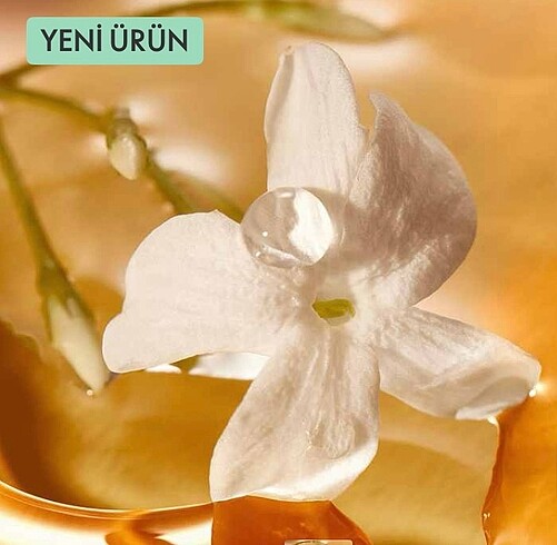 Milk&Honey Gold El ve Vücut Kremi - Görsel 5