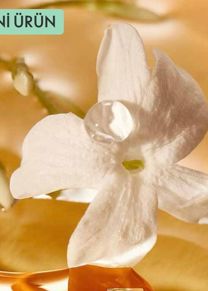 Milk&Honey Gold El ve Vücut Kremi - Görsel 5
