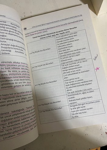 Erken Çocuklukta Eğitim Programları Kitabı - Görsel 2