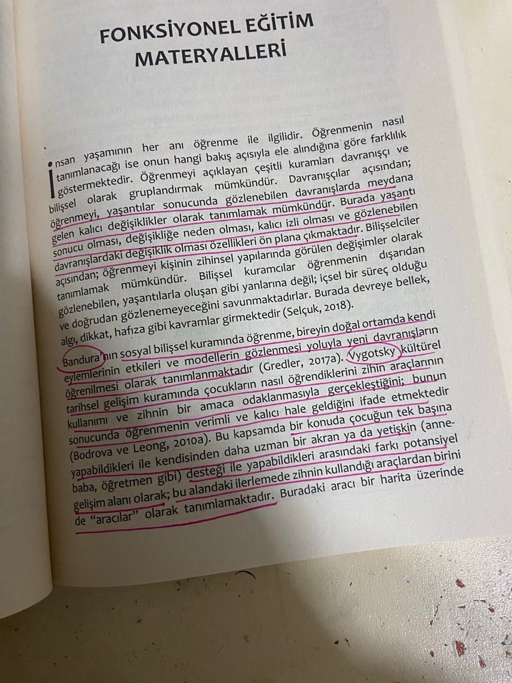 Erken Çocuklukta Eğitim Programları Kitabı - Görsel 3