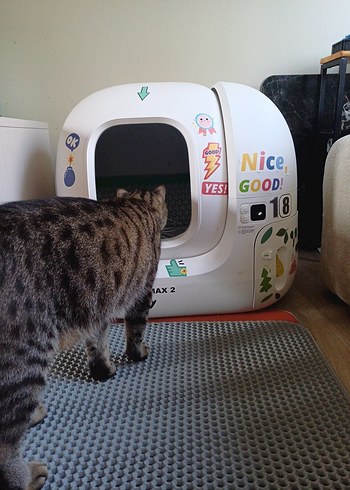 Petkit Puramax 2 Otomatik Kedi Tuvaleti