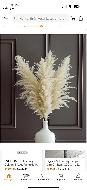 Beden İthal Pampas