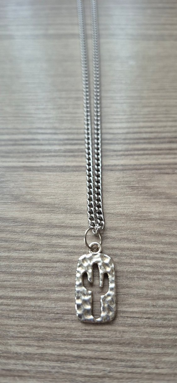 Gümüş Kaktüs Kolye - Görsel 2