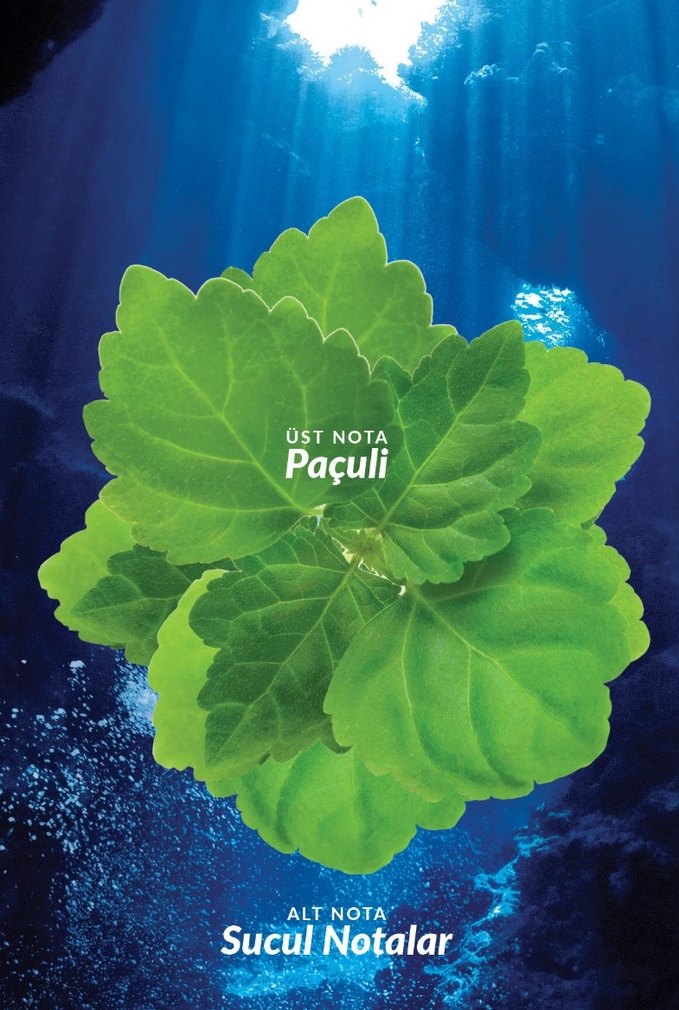 Avon Musk+ Intense Erkek Parfümü - Görsel 5