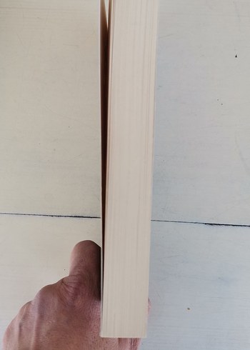 Henry James - Güven Romanı - Görsel 6