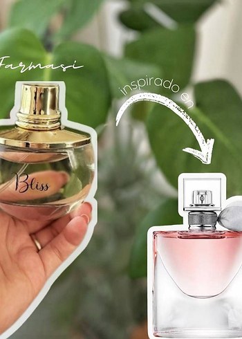 Farmasi Kadın Parfüm Koleksiyonu çeşitli ürünler fiyat sorunuz - Görsel 6