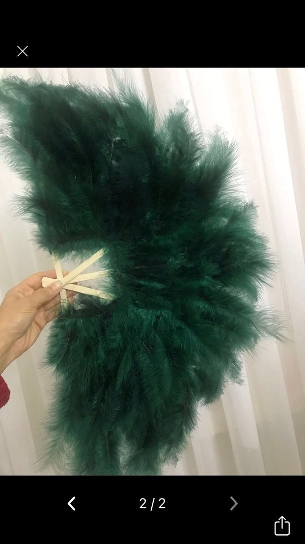 Kına yelpazesi - Görsel 2