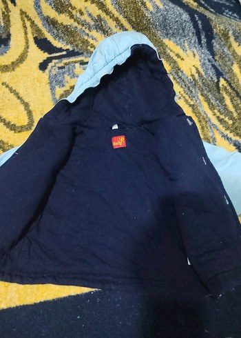 Kapüşonlu Mavi Erkek Çocuk Mont - Görsel 3