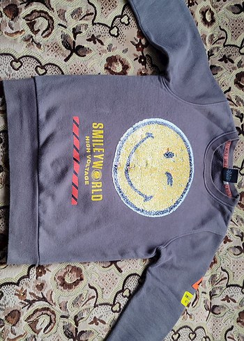 Payet Detaylı Gri Erkek Sweatshirt - Görsel 5