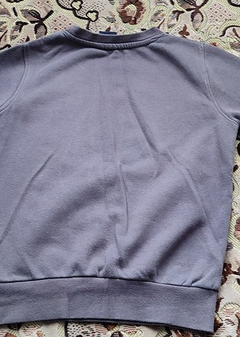 Payet Detaylı Gri Erkek Sweatshirt - Görsel 4