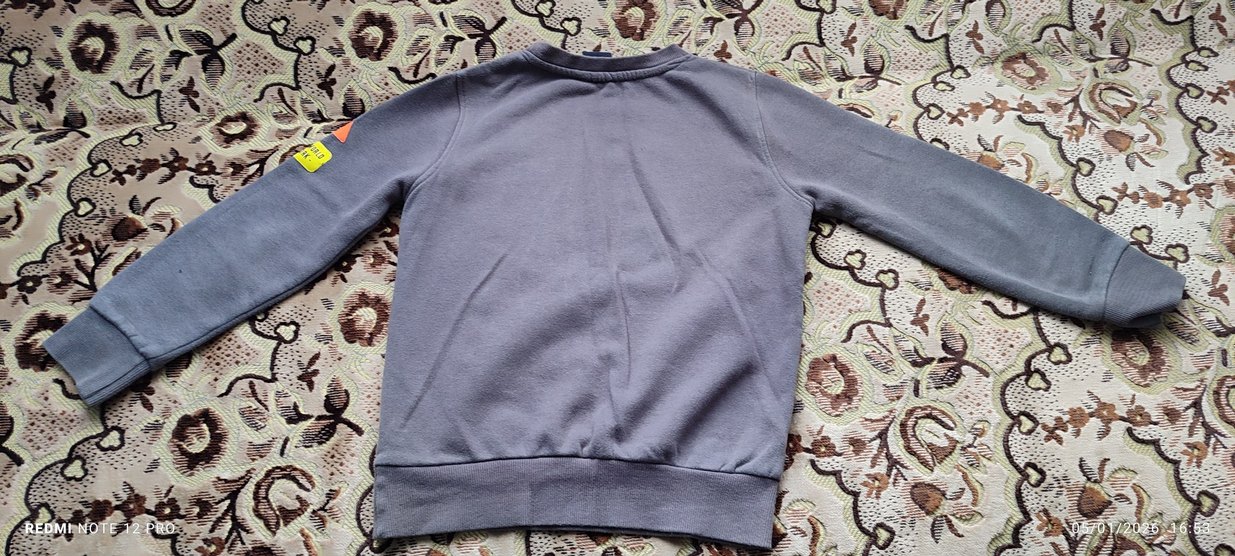 Payet Detaylı Gri Erkek Sweatshirt - Görsel 4