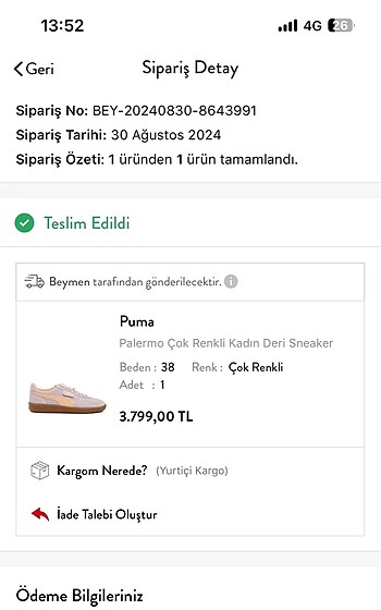 Puma Puma palermo